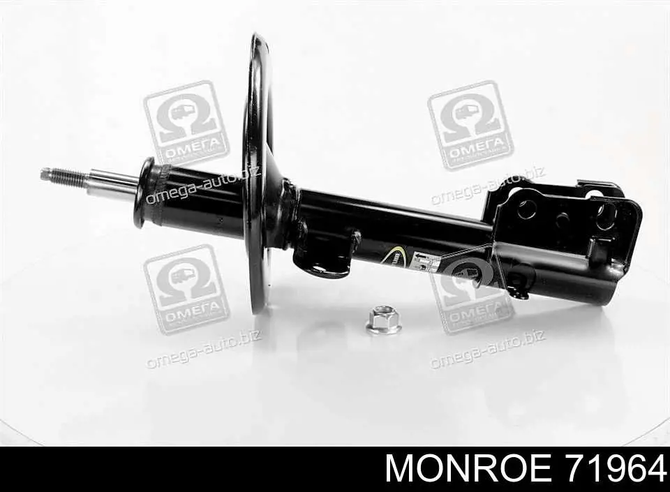 RS030645 Raiso Стійка передня