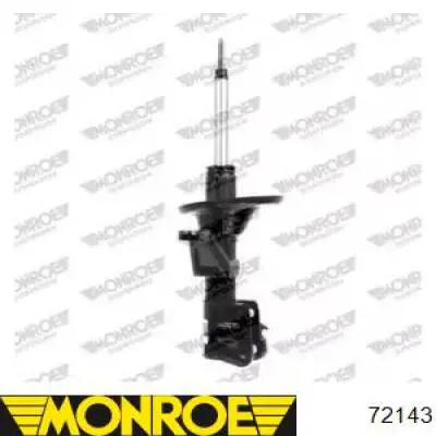Купити RS316913 Raiso Амортизатор передній, правий