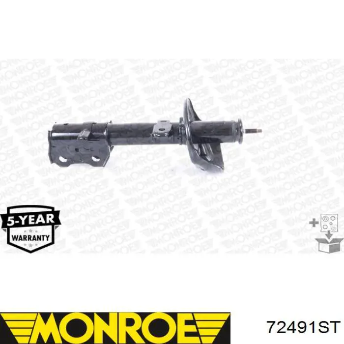 Амортизатор передній, правий RS316879 Raiso