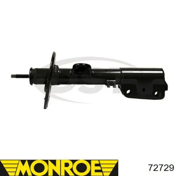 Амортизатор передній, правий Raiso RS266606 ціна, від 104.97 USD