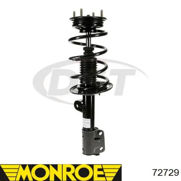 RS266606 Raiso Амортизатор передньої підвіски