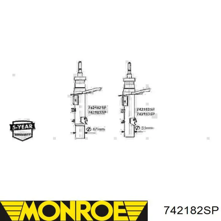 Амортизатор передній, правий Raiso RS313673 ціна, від 34.82 USD