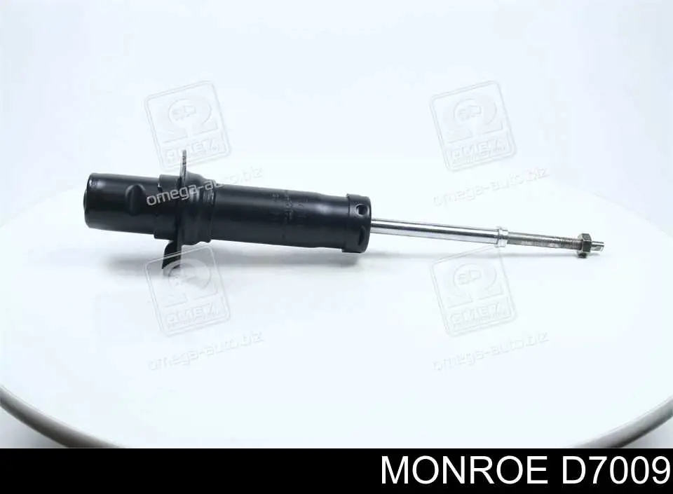 Купити RS317613 Raiso Амортизатор передньої підвіски