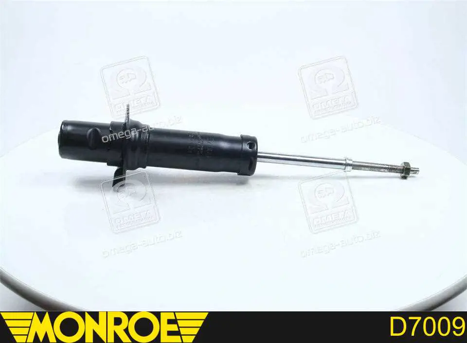 Амортизатор передній RS317613 Raiso