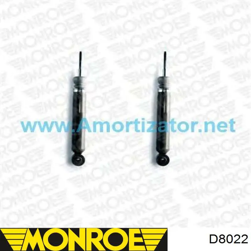 Амортизатор передній RS317133 Raiso