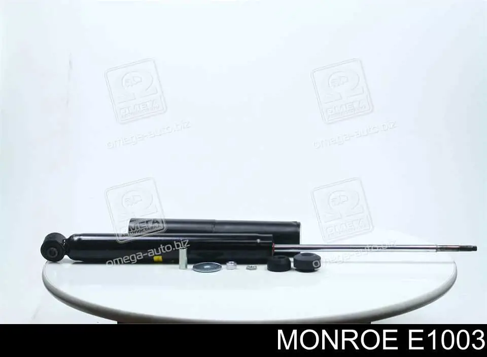RS317444 Raiso Амортизатори задні
