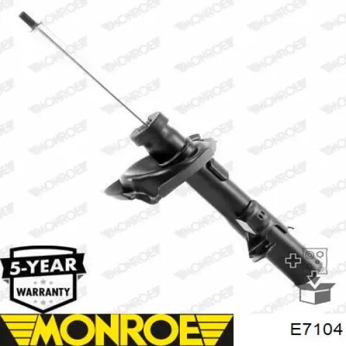 Амортизатор передньої підвіски, лівий Raiso RS315469 ціна, від 39.95 USD