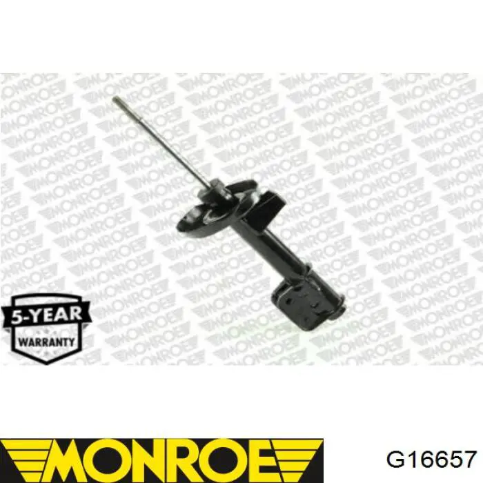 G16657 Monroe Стійка передня