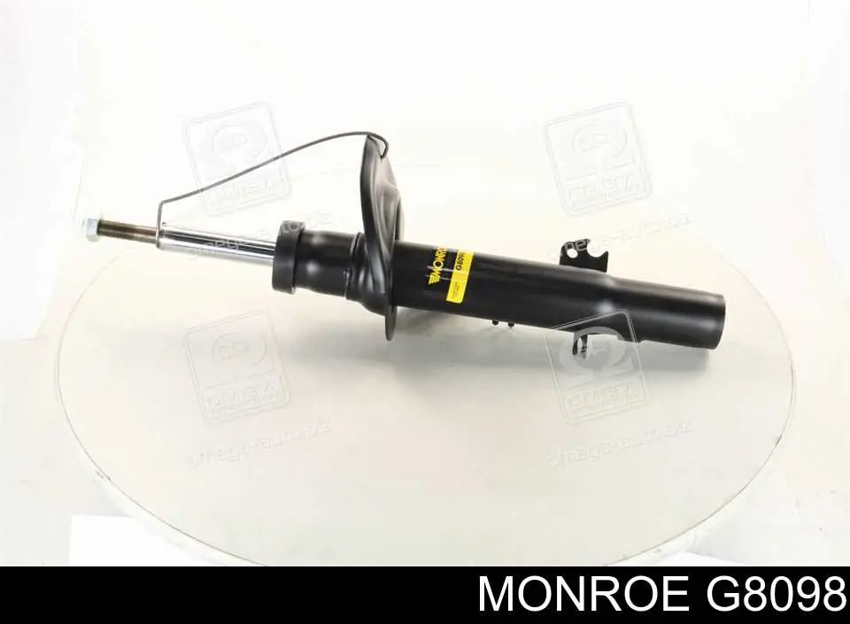 Амортизатор передньої підвіски, лівий Raiso RS313671 ціна, від 34.86 USD