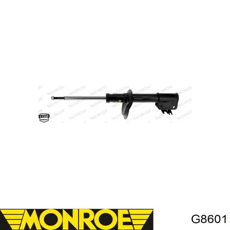 Купити RS310762 Raiso Амортизатор передній, правий