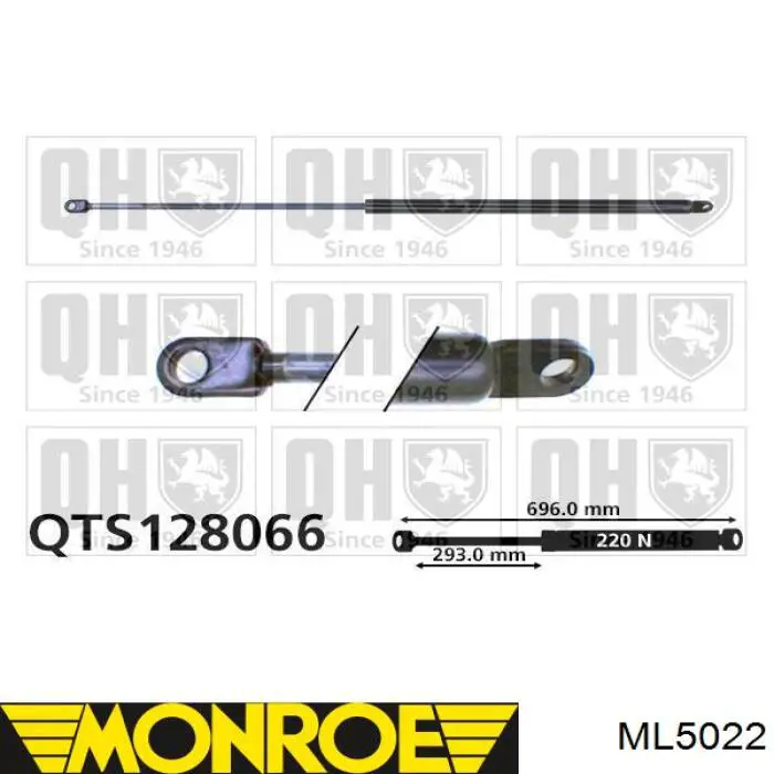Амортизатор багажника GS0022 Magneti Marelli