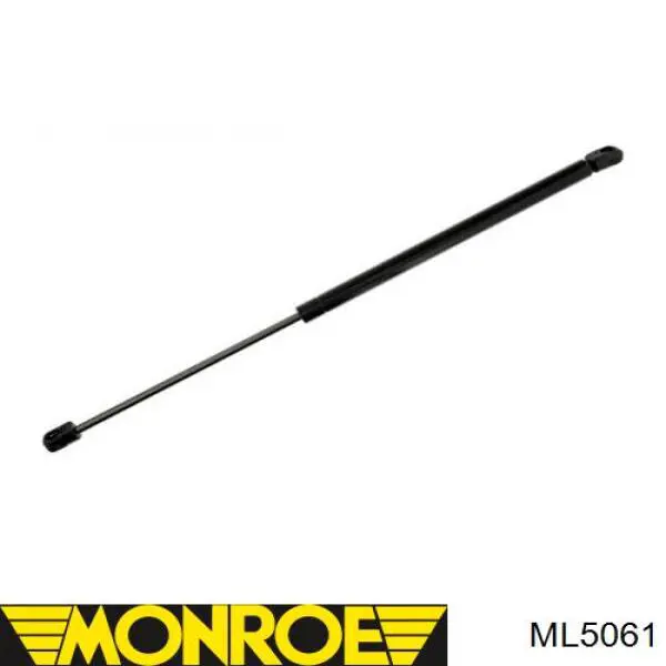 Амортизатор двері задньої Monroe ML5061 ціна, від 9.10 USD
