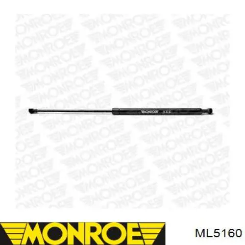 Амортизатор двері задньої Magneti Marelli 430719015900 ціна, від 8.15 USD