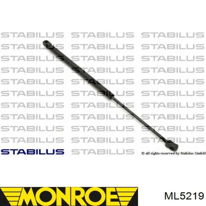 Амортизатор багажника ML5219 Monroe