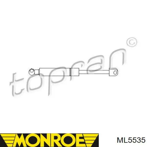Амортизатор багажника 430719053400 Magneti Marelli