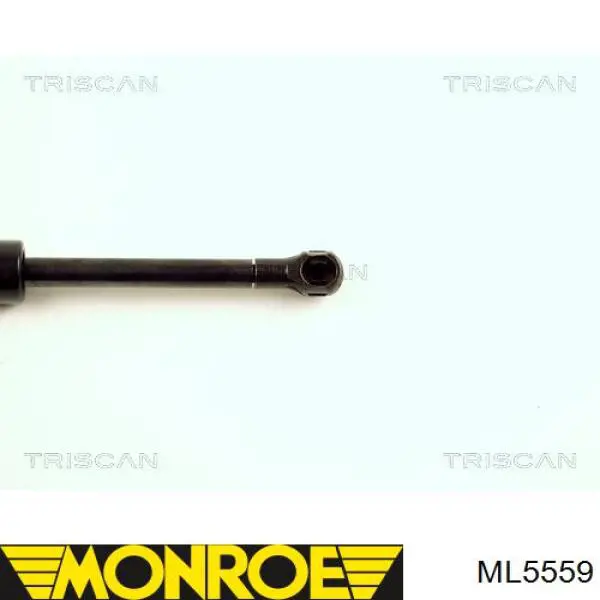 ML5559 Monroe Стійка капота
