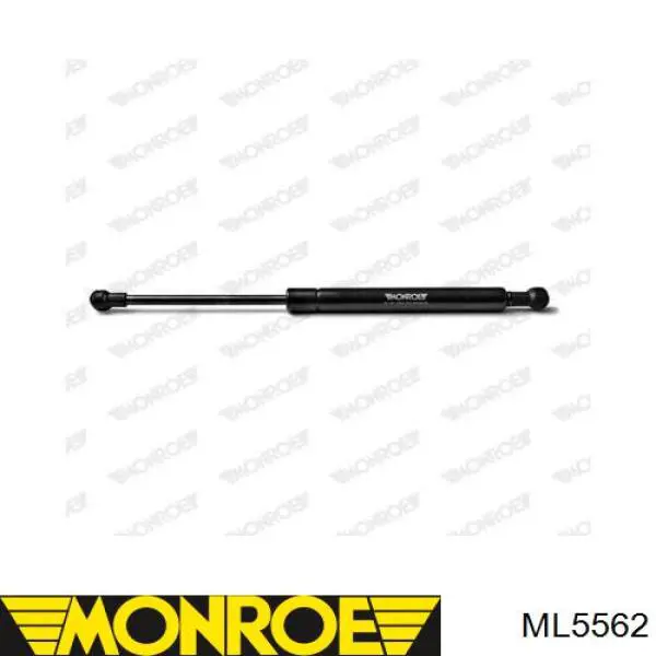 ML5562 Monroe амортизатор капота