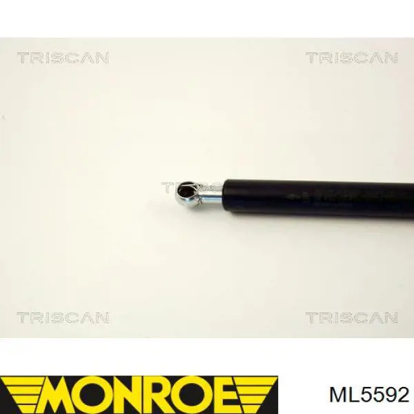 Амортизатор двері задньої Monroe ML5592 ціна, від 10.63 USD