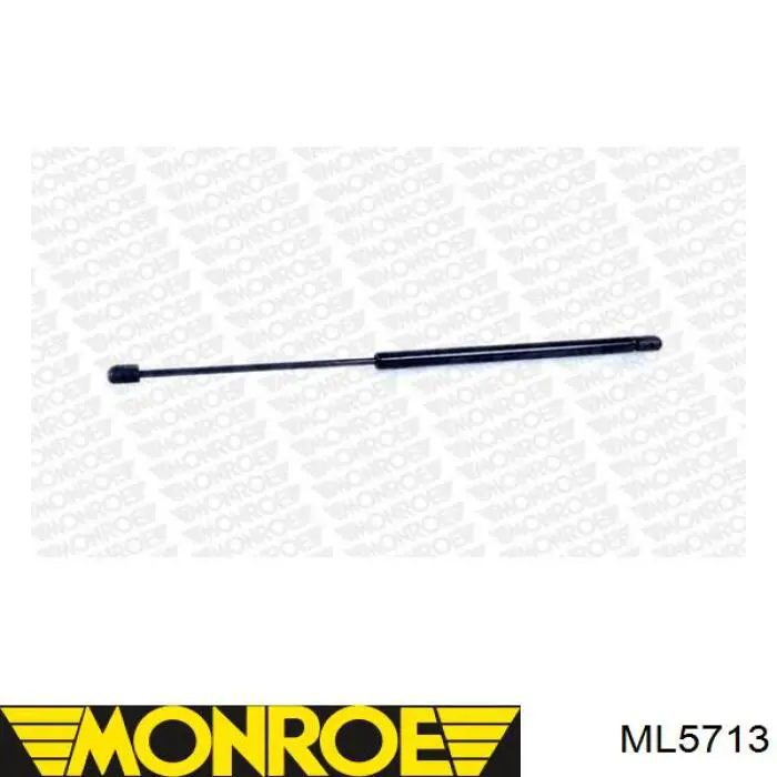Амортизатор двері задньої Magneti Marelli GS0779 ціна, від 7.57 USD