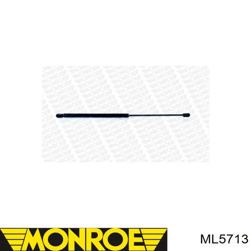 Амортизатор багажника GS0779 Magneti Marelli