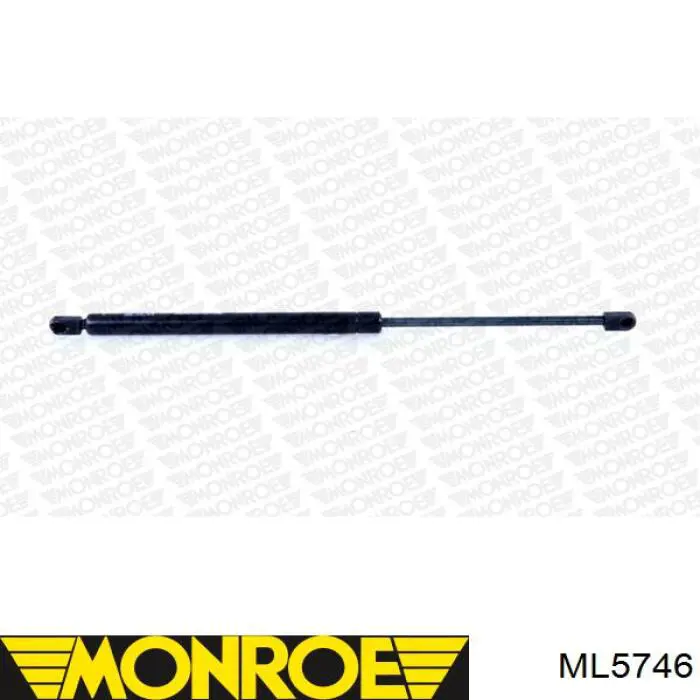 Амортизатор двері задньої Monroe ML5746 ціна, від 11.63 USD