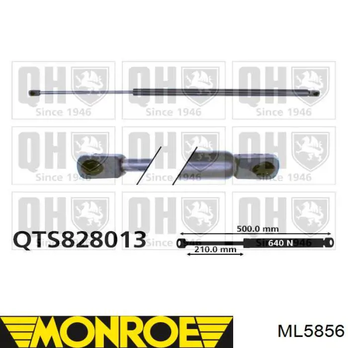 Амортизатор багажника ML5856 Monroe