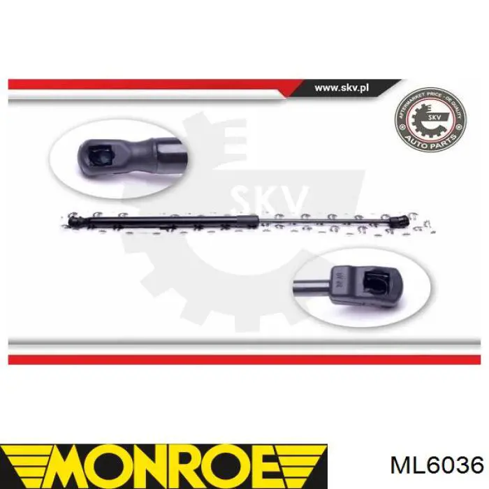 Купити ML6036 Monroe Амортизатор двері багажника