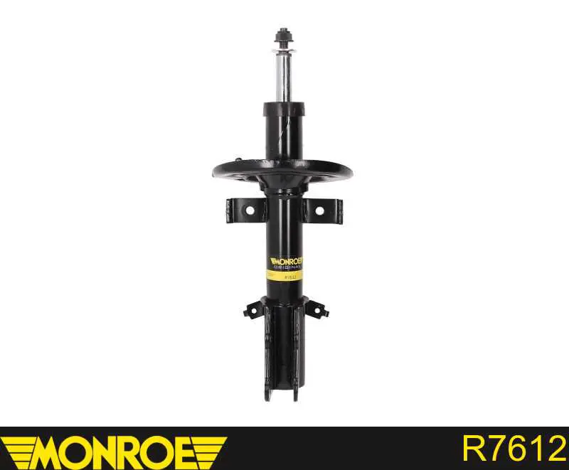 Амортизатор передній RS315298 Raiso