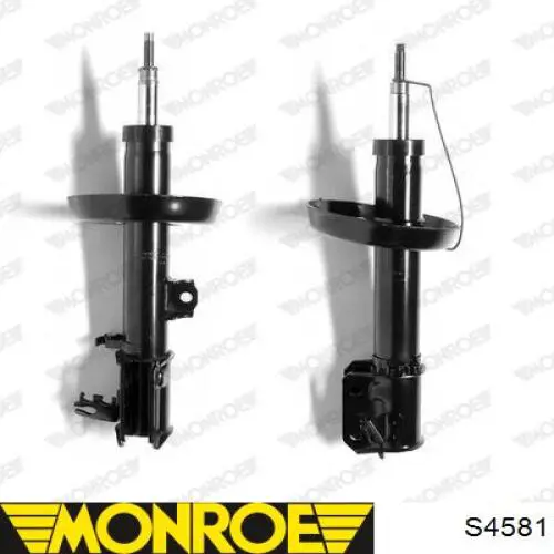  S4581 Monroe