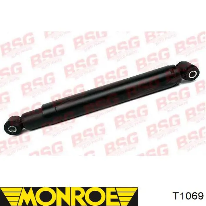Амортизатор передній RS311234 Raiso