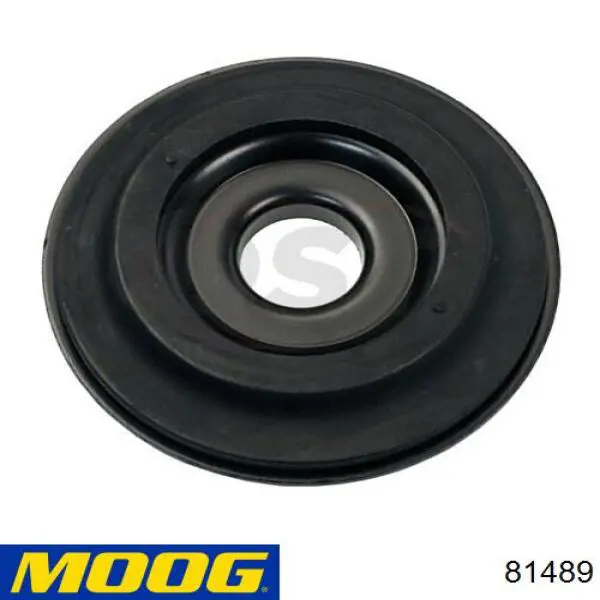  81489 Moog