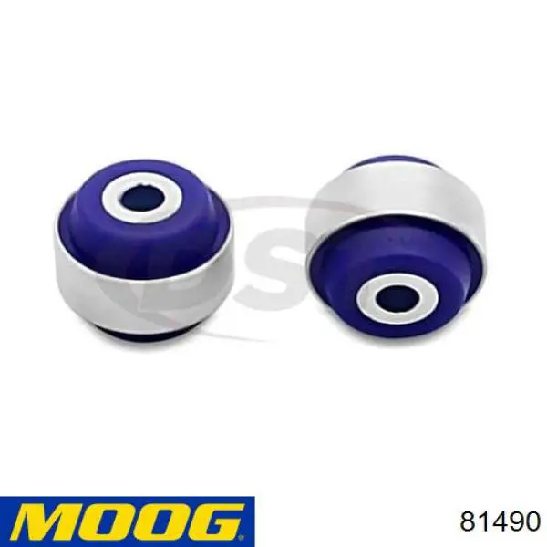 81490 Moog 