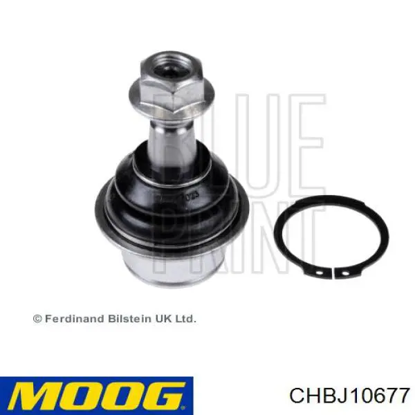 Купити CHBJ10677 Moog Кульова опора, нижня