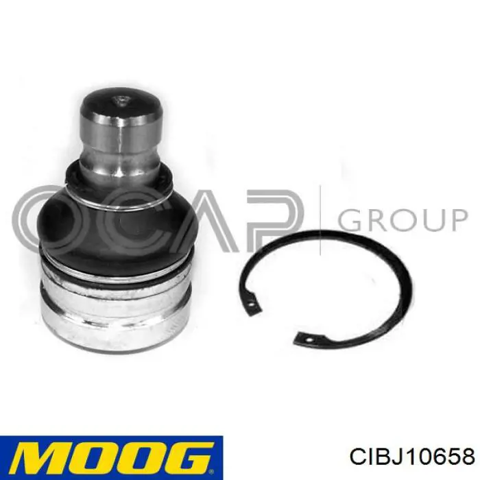 Купити CIBJ10658 Moog Кульова опора, нижня