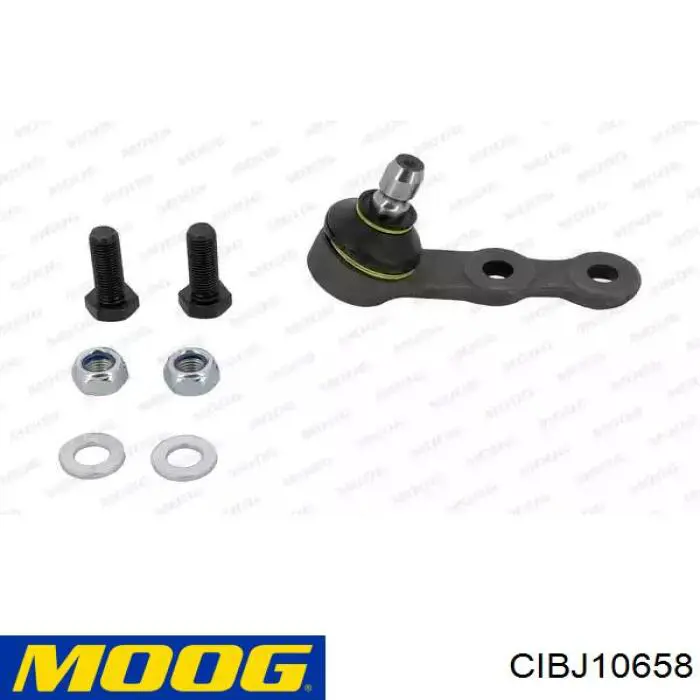 Кульова опора, нижня CIBJ10658 Moog