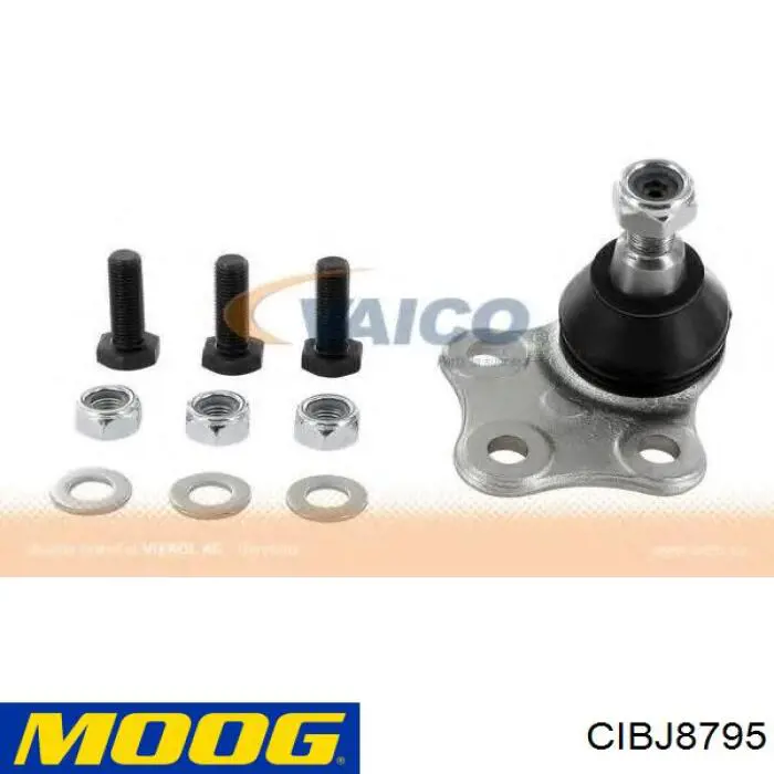 Купити CIBJ8795 Moog Кульова опора, нижня