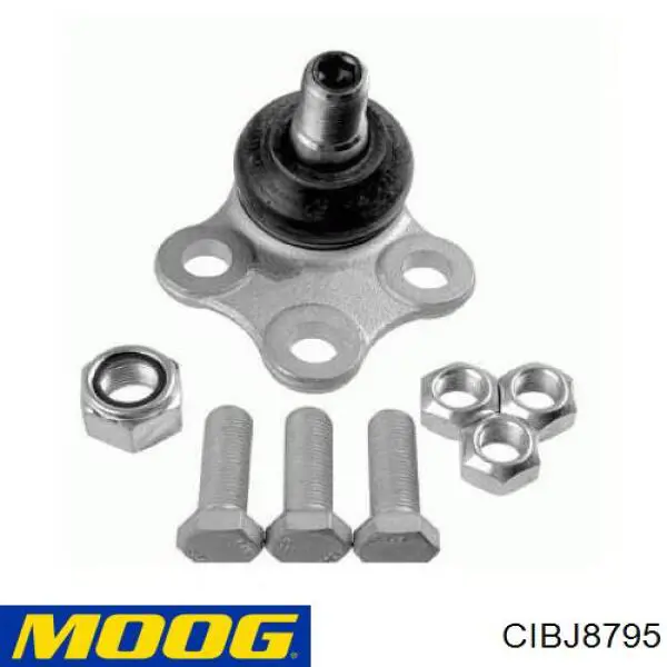 Кульова опора, нижня CIBJ8795 Moog