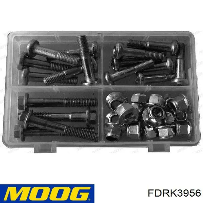 Купити FDRK3956 Moog Болт переднього важеля