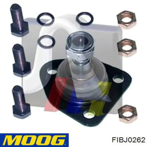Купити FIBJ0262 Moog Кульова опора, верхня