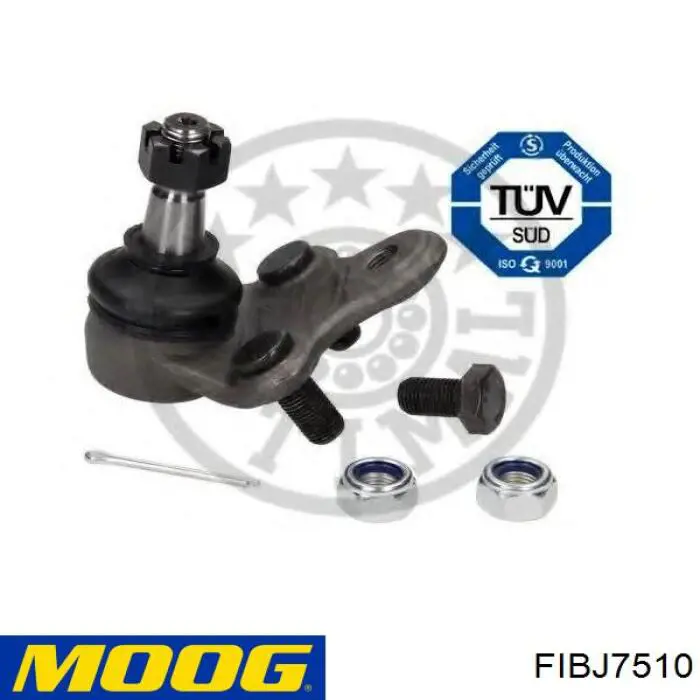 Купити FIBJ7510 Moog Кульова опора, нижня