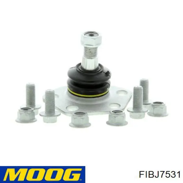 Купити FIBJ7531 Moog Кульова опора, нижня