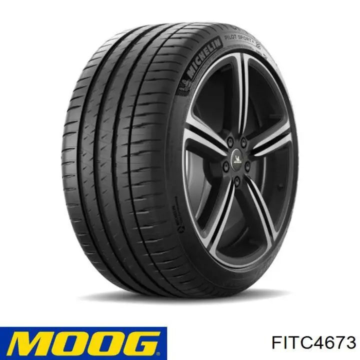 Цапфа передні праві Moog FITC4673 ціна, від 19.31 USD