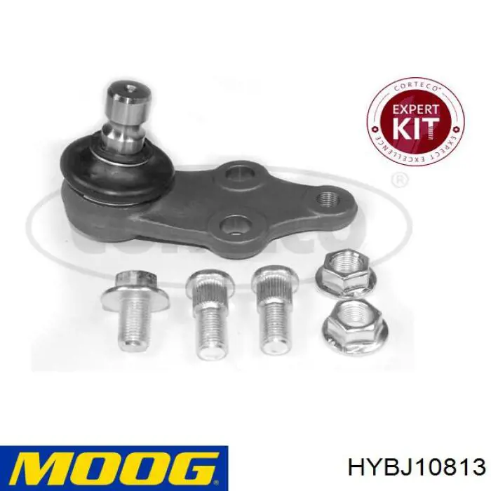 Купити HYBJ10813 Moog Кульова опора, нижня