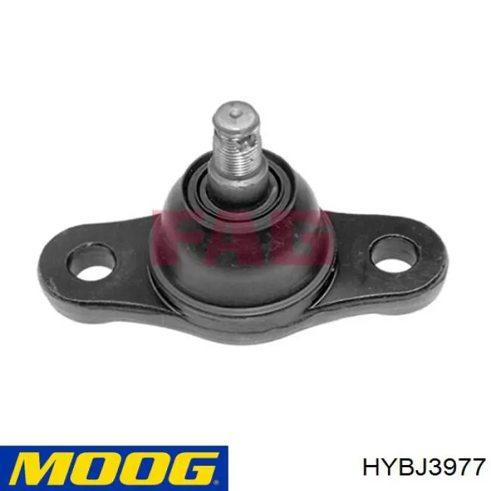 Купити HYBJ3977 Moog Кульова опора, нижня