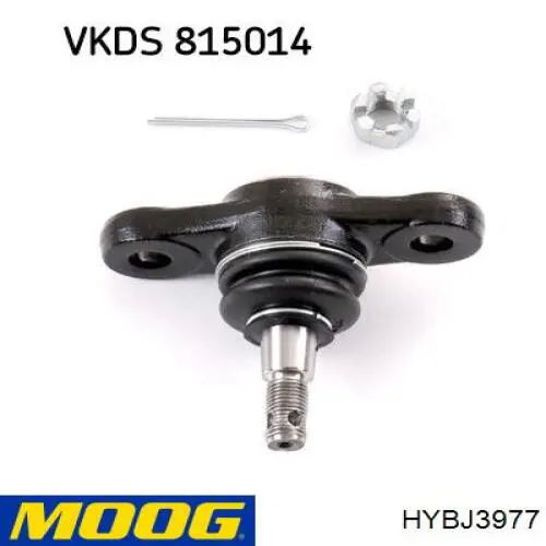 Кульова опора, нижня HYBJ3977 Moog