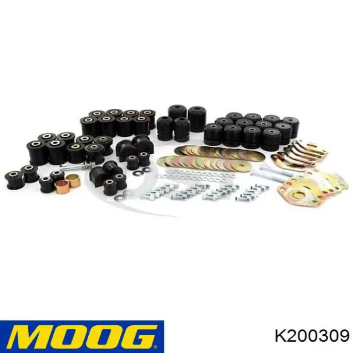 Купити K200309 Moog 
