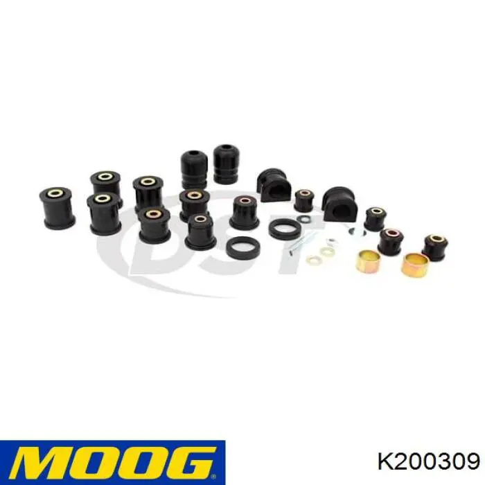  K200309 Moog