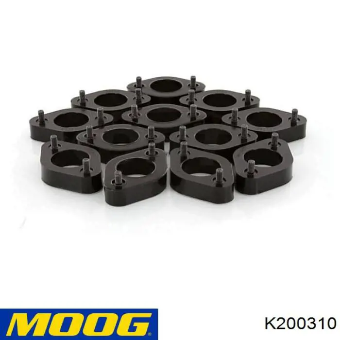Купити K200310 Moog 
