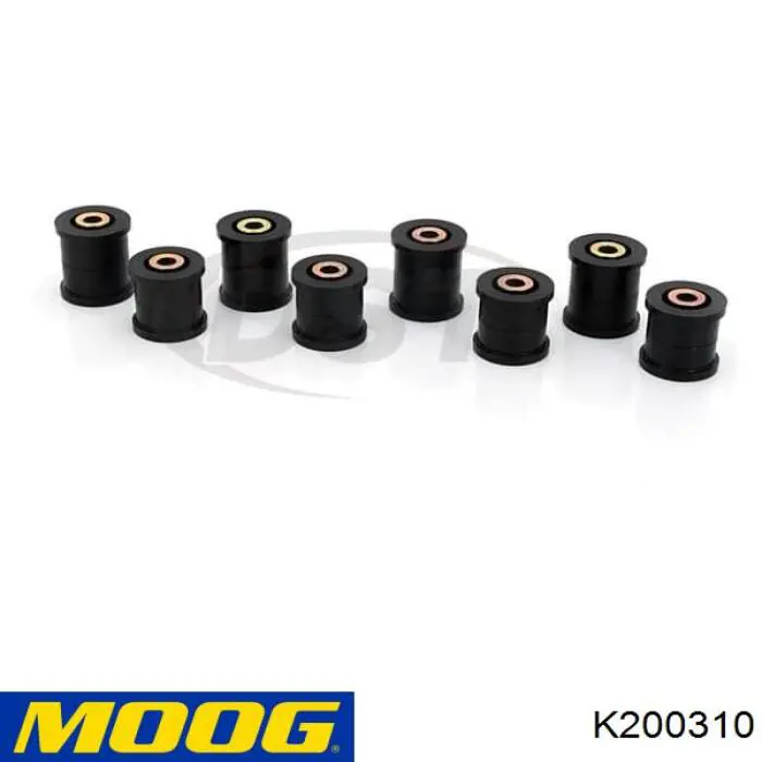 Moog K200310