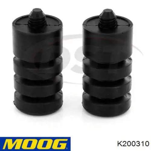 K200310 Moog 